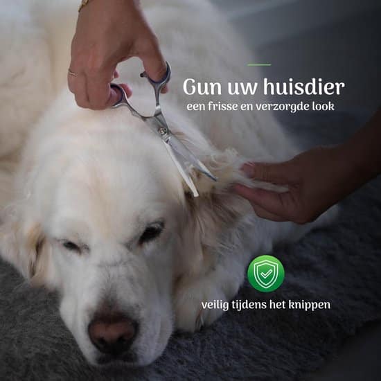 LuZana Honden Trimset RVS 5 Delige Set Honden Schaar Effileerschaar Hond Online Reviews
