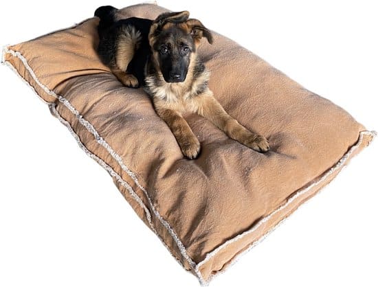 Fleece Cosy Blue - Extra zacht en warm hondenkussen - Dog's Companion Fleece Cosy Blue - Extra zacht en warm hondenkussen - Dog's Companion