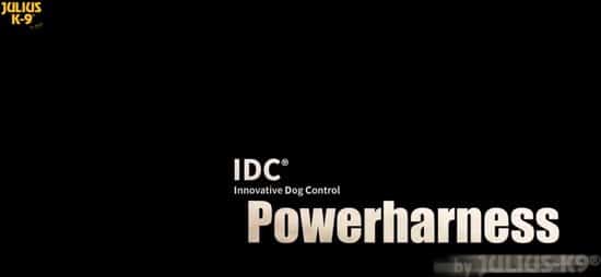 Julius-K9 IDC®Powertuig, M - maat 0, zwart - Afbeelding 2