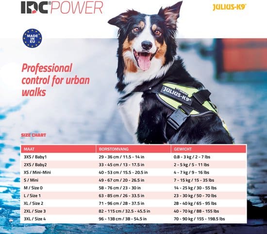 Julius-K9 IDC®Powertuig, M - maat 0, zwart - Afbeelding 5