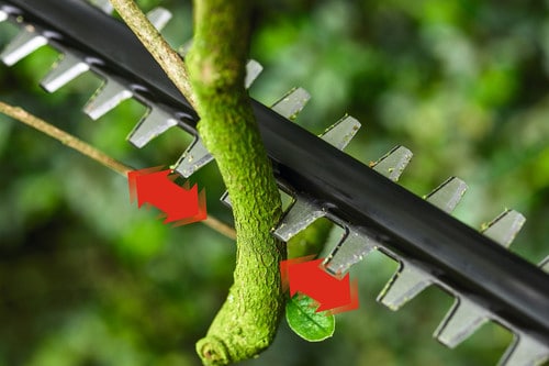 Bosch UniversalHedgePole 18 - Afbeelding 4