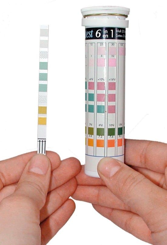 De weg naar de juiste pH met pH-teststrips - blog