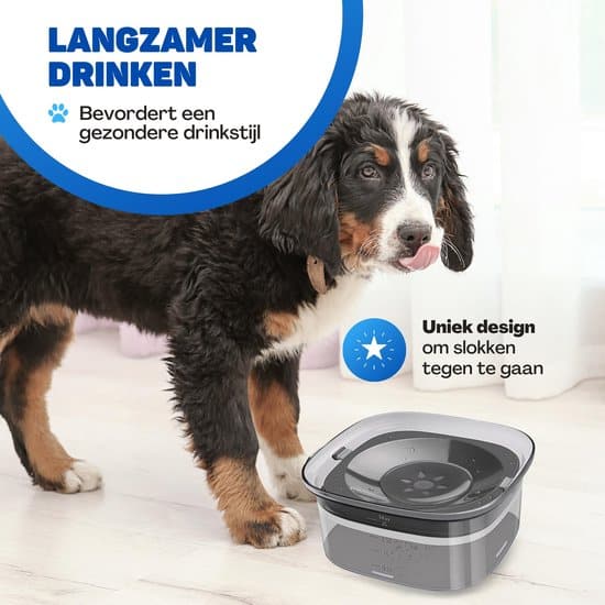 Vulpes Goods® Drinkbak Hond Waterbak voor Honden Anti Knoei Vermindert slobberen