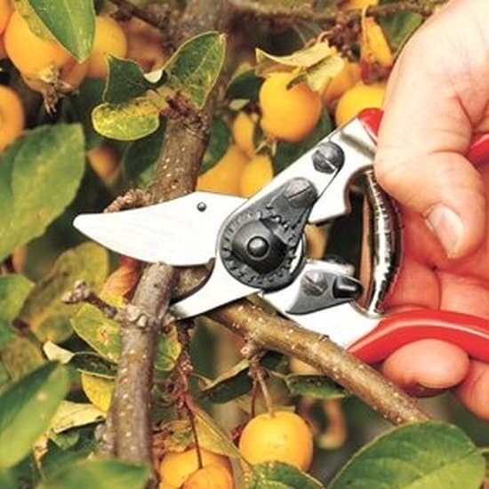 Felco 6 Classic snoeischaar - 20mm/0.8inch maximale knipopening - Afbeelding 3