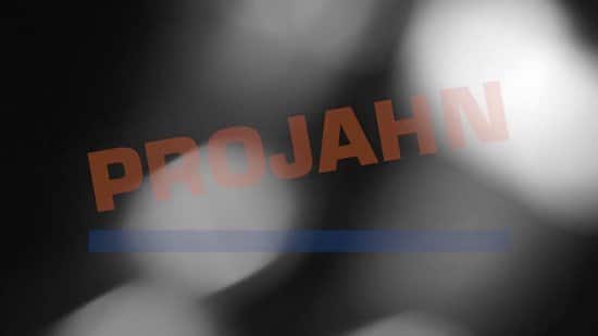 Hamerboor, SDS-plus, 4 snijder 20 x 450 / 400 mm ''PROJAHN'' - Afbeelding 2