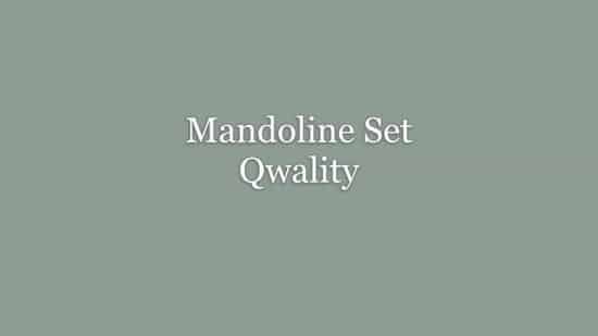 Mandoline - Vlijmscherp - Keukensnijder – Groentesnijder – Incl. Anti Snij Handschoenen en Snij Hulp - Qwality - Afbeelding 2
