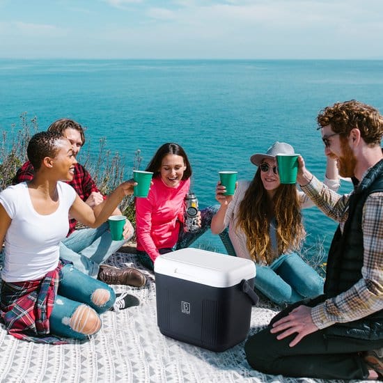 Brisby Koelbox - Frigobox - 22L - Zwart - Tot maximaal 40 uur isolatie - Incl. 4 dikke koelelementen van 450ml - Temperatuur veilige sluiting -... - Afbeelding 5