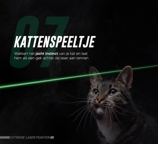 Professionele Laserpen groen klasse II 2 - Afbeelding 6