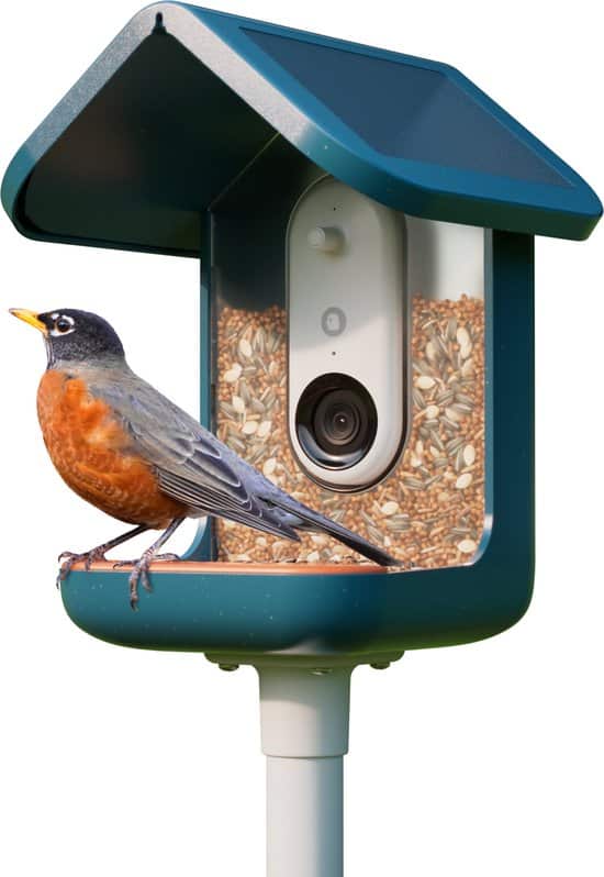 Bird Buddy Smart Bird Feeder