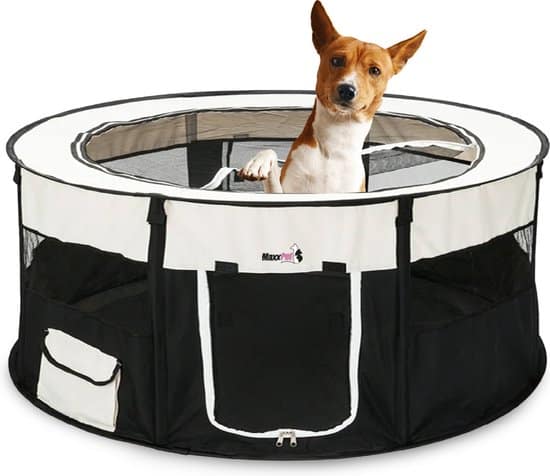 MaxxPet Opvouwbare Bench - Hondenren Stof - Puppytent - Ronde Reisbench - Opvouwbare Puppyren Nylon