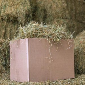 Hooi - 4 kg - vers - hooi direct van de boerderij - konijnenvoer - knaagdieren - goede kwaliteit - 2022