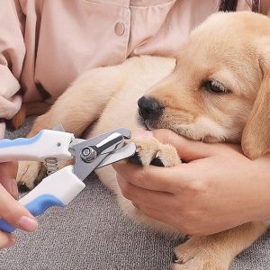 Nagelschaar - Nagelschaartje - Nagelknipper - Geschikt voor Hond Kat Konijn Cavia Vogel - Blauw Wit