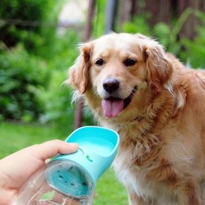 Waterfles 350ml - honden fles water - Honden bidon - Honden Drinkfles - Blauw